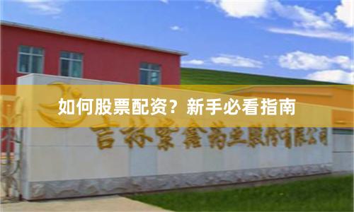 如何股票配资？新手必看指南
